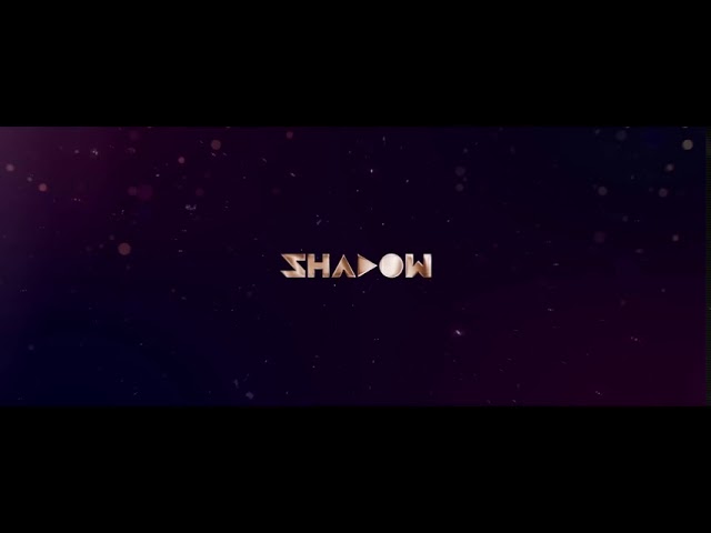 Tumhari remix by DJ Shadow
