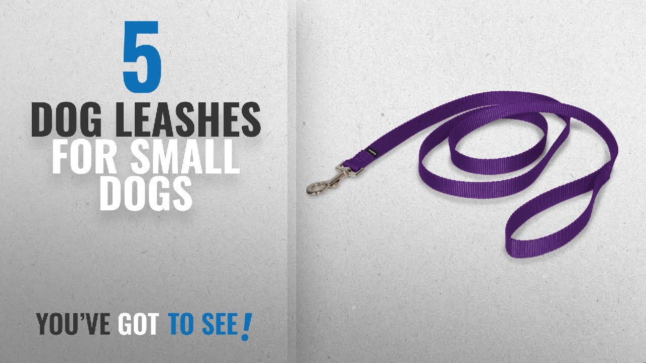 Top 5 Dog Leashes For Small Dogs [2018 Best Sellers] PetSafe Nylon
