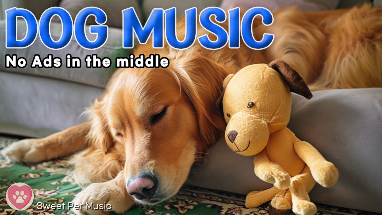 20 Hours of Caming Dog Music🦮💖Gentle Melodies for Sweet Dreams