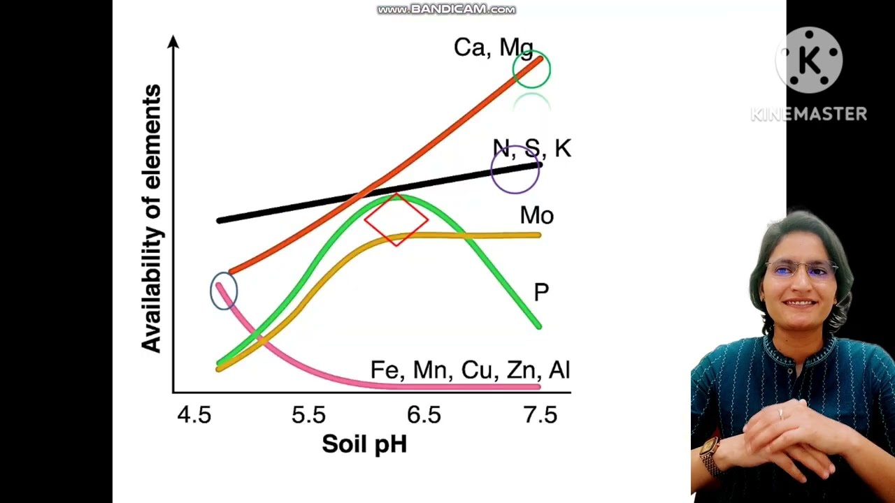 Effect of soil pH & Nutrients availability ll  मिट्टी के पीएच का प्रभाव#krishivigyan #soil