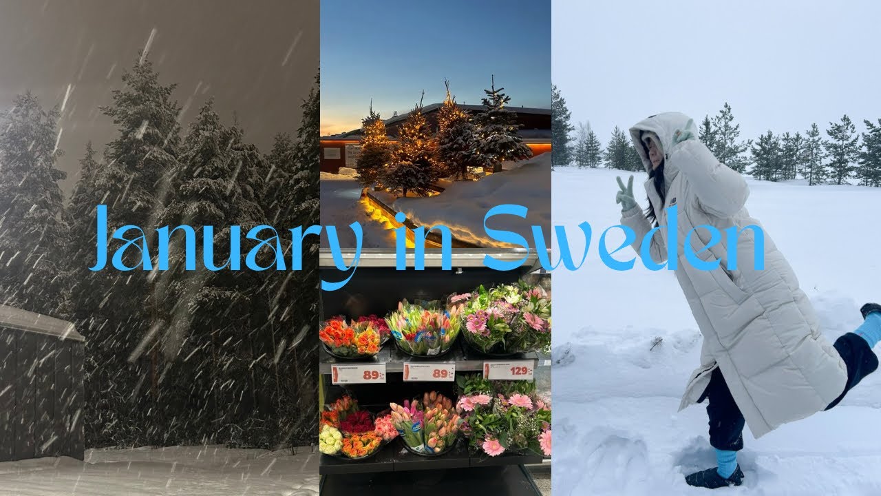 [vlog] 스웨덴 교환학생 | 오티주간 | 영하 20도 최북부지역에서 살아남기♡ 🥶☃️