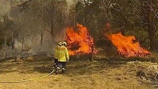 Avustralyada Büyük Yangın Korkusu