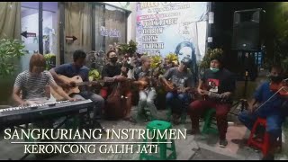 INSTRUMEN RIWAYAT SANGKURIANG ( KERONCONG GALIH JATI )