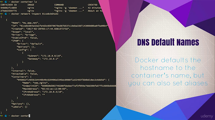 Docker Networks  DNS and How Containers Find Each Other
