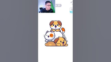 KUCING dan ANJING ✅ CPI Eps. 25 #Shorts #games #gaming #puzzle #funny