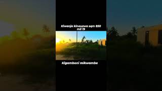PLOT FOR SALE KIWANJA  KIGAMBONI MIKWAMBE Plot size ; SQM 2300 ; milioni 19 CALL 0679647736