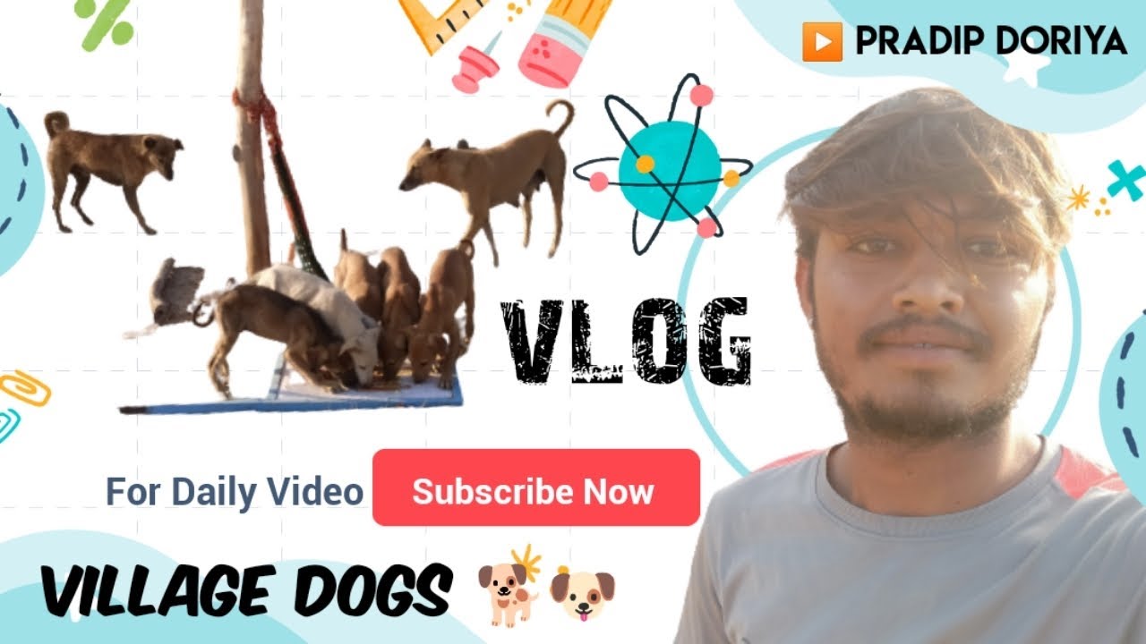 dogs-feeding-time-youtube-youtuber-viralvideo-viral-shorts