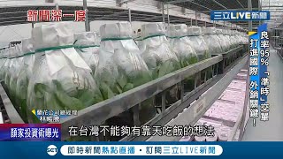 全球一半基因來自台灣!蘭花界的台積電就在台灣 引進無塵室拚種苗良率高達95% 荷蘭等多國都捧著銀子要跟他買│記者 華舜嘉 鄭偉宏│【新聞深一度】20211112│三立新聞台