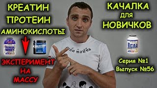 Креатин + Протеин + Аминокислоты. Эксперимент для набора массы! Качалка для начинающих Креатин + Протеин + Аминокислоты. Эксперимент для набора массы! Качалка для начинающих