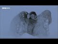 The Challenges of Raising Penguin Chicks | 20 Years of Planet Earth | BBC Earth