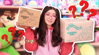 I bought SQUISHMALLOW MYSTERY BOXES from Amazon