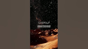 أفمن وعدناه وعدا حسنا   #قران_كريم #قران #اكسبلور #تلاوة_خاشعة #راحة_نفسية #ارح_سمعك #المصحف