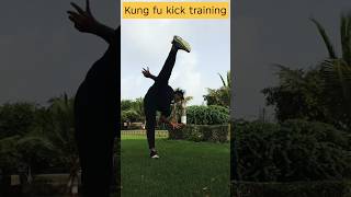 Kung Fu Training | Kung fu kick | Martial arts #youtubeshorts #kungfu #shorts #ironman #shortvideo
