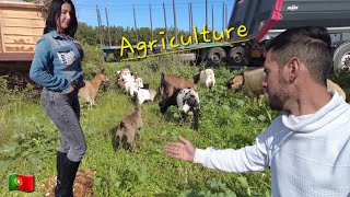 Un dia aburrido en la autocaravana 🥱 | pueblo Odimeira 🇵🇹