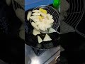 papori or chai ki video #viral #shortvideo 🤤