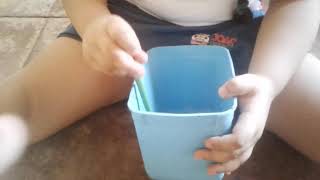 Diário Da Ama Clara