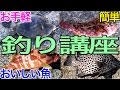 釣り講座 堤防で美味しい魚を釣ろう Surf-fishing