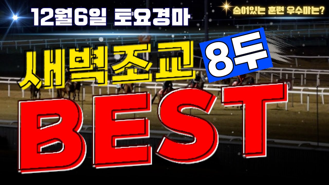 [굽소리경마] 12월6일 월초경마!! 시원하게 이겨줄 훈련잘된 8두!!#새벽조교#과천경마장#조교우수마#굽소리경마