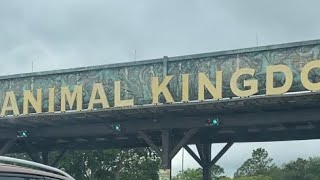 Animal Kingdom!! We got soaked on the Rapids!!