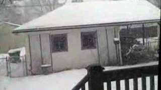 Snowy Day February 6