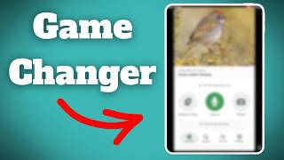 This $0 App Beats Expensive Birding Gear screenshot 5