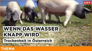 When water becomes scarce - drought in Austria | Topic 04.05.2026