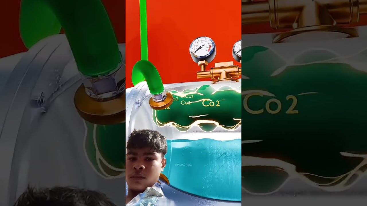 #facts #viral #trendingshorts #viralvideo #tweening #views #shortvideo — The chandel brand YouTube video