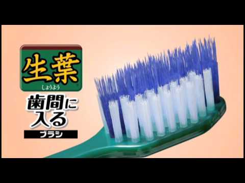 Shouyou Shikani Haeru Brush