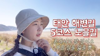 태안 안면도 해변길 5코스 노을길