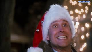 Christmas Vacation (1989) Chevy Chase.Beverly D'Angelo.Randy Quaid.Johnny Galecki.Jeremiah Chechik