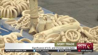 Jen Samuel Discusses The Ivory Trade