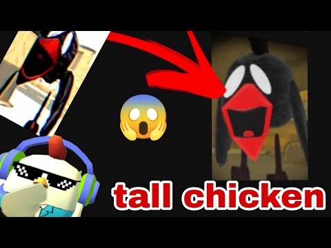 Finally Tall Chicken Secret Revealed, with 3 New Skins