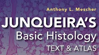 CHAPTER 4 - Epithelial Tissue: Structure, Function, and Renewal