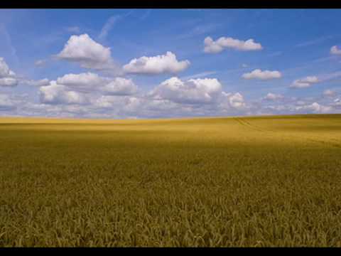 Campi di grano - Dedicata alla mia terra natia, la Puglia - YouTube