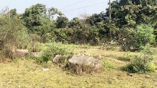 XXL XXL XXL XXL FREESTYLE 2024 |XXL 2025 😱| Xxwd5000xa | XXL XXL XXL XXL FREESTYLES