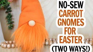 Celebrity No Sew Carrot Gnome / Easter Gnome / Gnome Pattern Two Ways / Cute DIY Gnome for Spring / Gnome DIY Wealth
