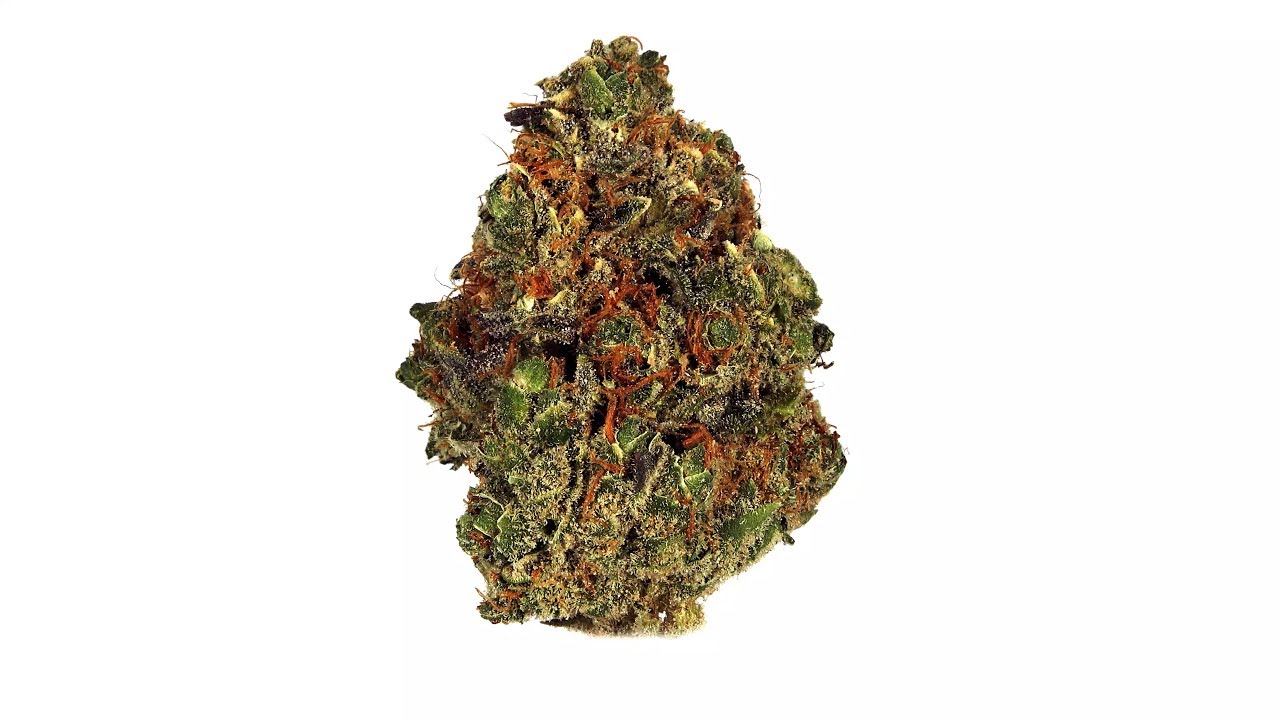 Strain Review: Kosher Tangie