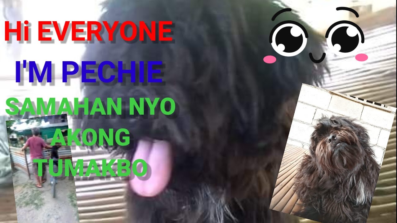 HI EVERYONE I'M PiCHIE SAMAHAN NYO AKONG TUMAKBO/ LADY PANGAN /PiCHIE