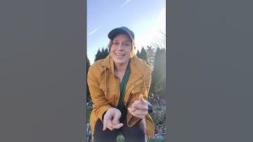 Asymmetrical Landscape Balance