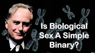 Is Biological Sex A Simple Binary?