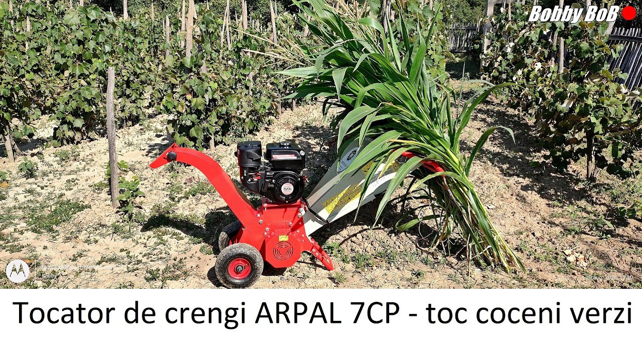 Tocator de crengi - proba cu coceni verzi