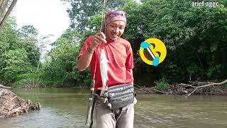 mancing mania josgandos ,spotnya cantik ikanya juga cantik ,strike ikan berkumis dan bulan-bulan