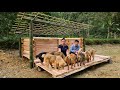 Father  daughter build a dog house out of wood  handmade furniture  l th ca