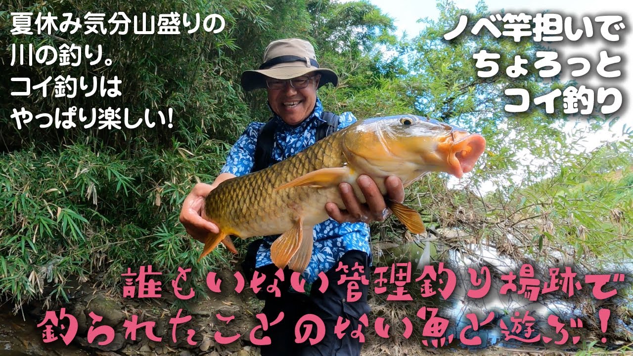 【のべ竿担いで】夏休み気分山盛りの川の釣り！@千葉県・夷隅川フィッシングパーク跡地【ちょろっとコイ釣り】