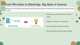 microbial fuel cells FINAL SUBMISSION