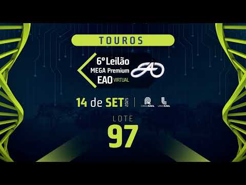 LOTE 97