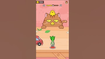 Hide and Seek: Cat Escape! Level 68 Gameplay Walkthrough #shorts