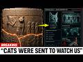 The Sumerian Tablet That Says Cats Were Sent to Watch Us — And Describes What They Report Back
