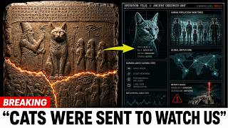 The Sumerian Tablet That Says Cats Were Sent to Watch Us — And Describes What They Report Back