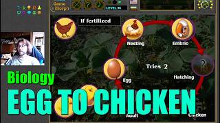 How Does a Chicken Grow | Interactive Hen Life Cycle Puzzle 🦠🎥🎓